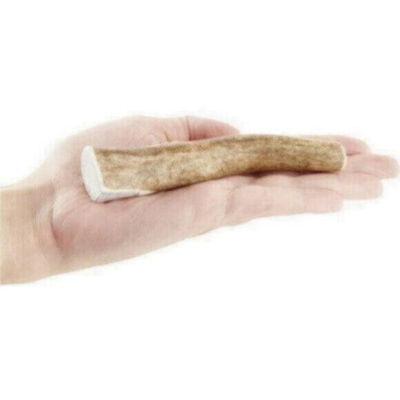 Set of Two KONG Wild Whole Elk Antler Dog Chew, Small - Picture 4 of 5